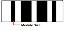 Module Size