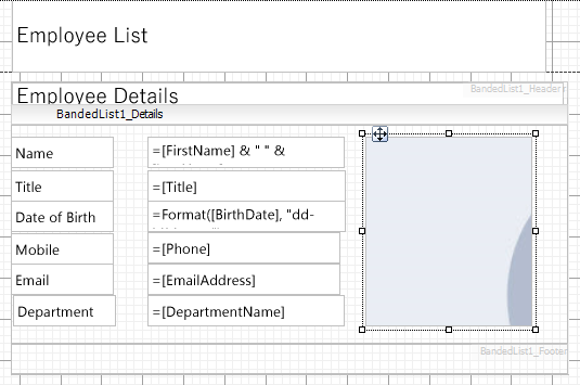 Image control in reports