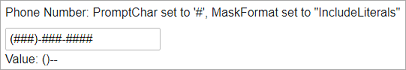 Prompt characters in the MaskedTextBox.