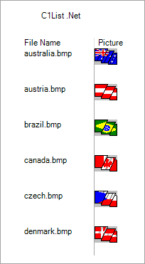 images in the List control