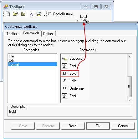 Commands list and Format toolbar on the form