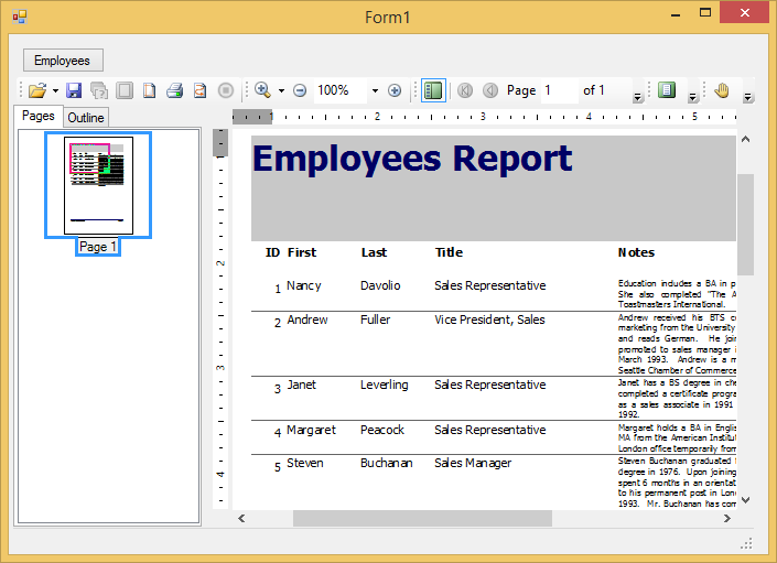 Basic Report Picture Step 1 of 4: Creating a Report Definition | Reports for WinForms ...