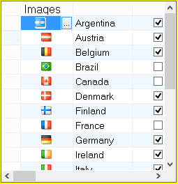 shows flexgrid without zoom policy