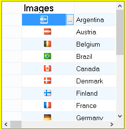 shows flexgrid with zoom policy