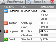 how c1truedbgrid looks initially