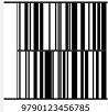 Barcode encoding type