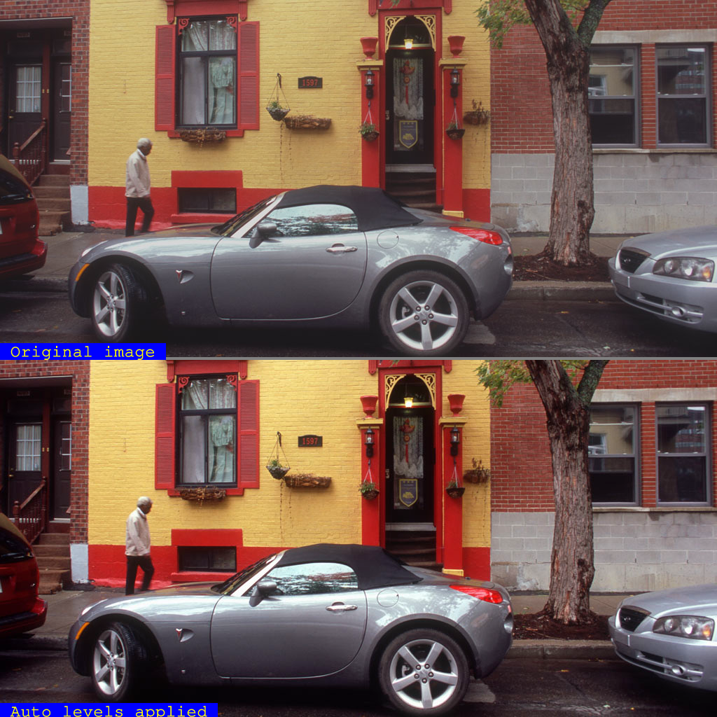 Whole Image