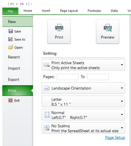 Print WinRT Spreadsheets and Print to PDF Support Examples