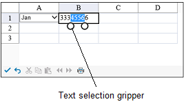 Text Selection Gripper