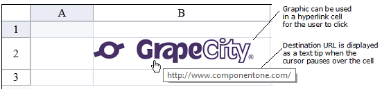 Hyperlink Cell Example with text tip