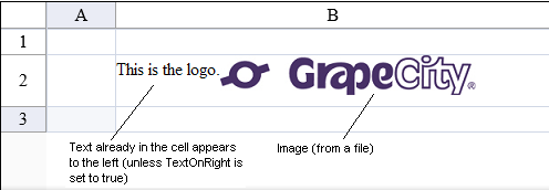 Image Cell Type Example